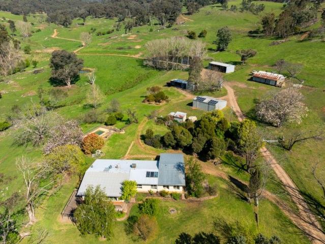 'Willow View' A highly productive livestock enterprise