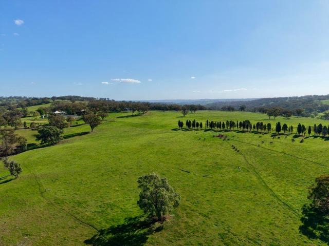 Willunga Highly Regarded Upper Hunter Grazing Country
