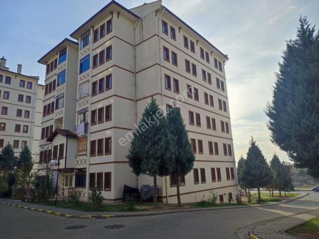 Wisrem Safranboludan Yazıköy Tokide Satılık Kiracılı 2+1 Daire
