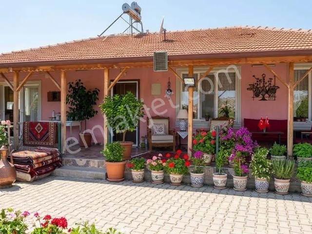 Wisrem Safranboludan Eşine Az Rastlanır Müstakil Yaşam Alanı