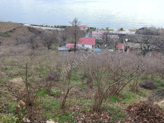 Wisrem'den Eynesil'de Eşsiz Deniz Manzaralı Satılık Müstakil Ev