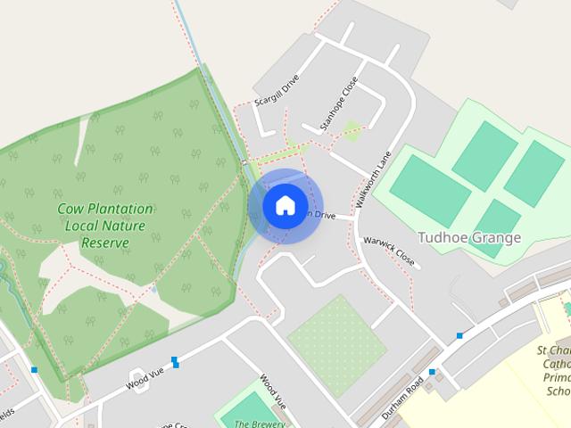 Witton Drive, Spennymoor