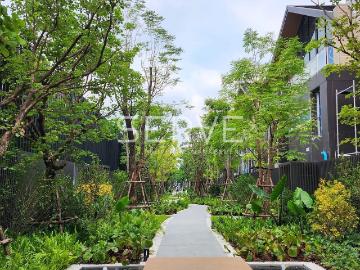 วิวแม่น้ำที่สวยที่สุด กับบ้านเดี่ยวริมแม่น้ำ 5 นอน 7 น้ำ ใกล้ ทางด่วน สะพานพระราม 9 ที่ Noble Aqua Riverfront Ratburana