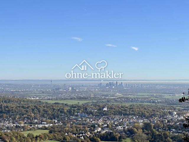Wo Wald auf Weitblick trifft – Traumvilla mit Taunus und Skyline Panorama