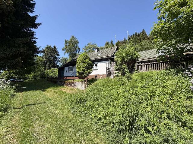 Wo Fuchs und Hase sich gute Nacht sagen – Ihr Waldhaus nahe Winterberg