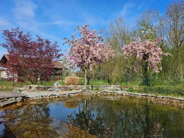 Mining, Bezirk Braunau am Inn, Oberösterreich