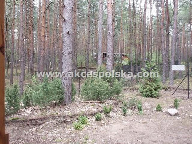 Wołomiński, Radzymin, Łosie, Jeżowa