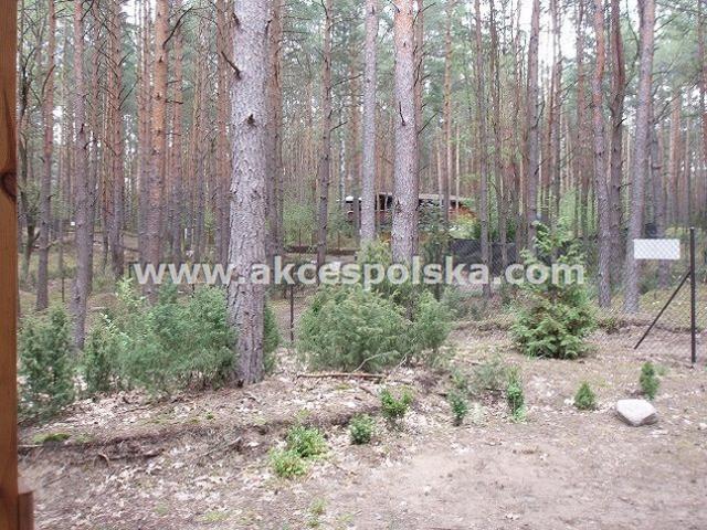 Wołomiński, Radzymin, Łosie, Jeżowa
