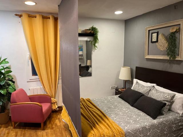 Wonderful and ample studio in Sant Antoni