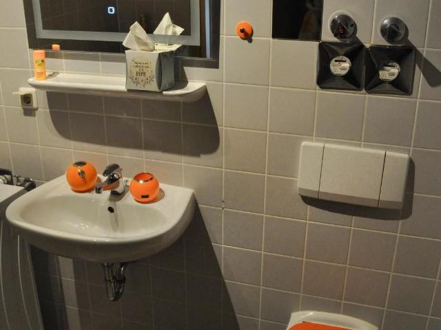 Wonderful and fantastic home in Dresden, Dresden Amsterdam Apartments for Rent