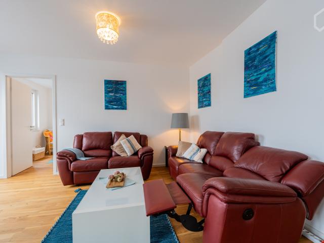 Wonderful attic flat with large terrace south
