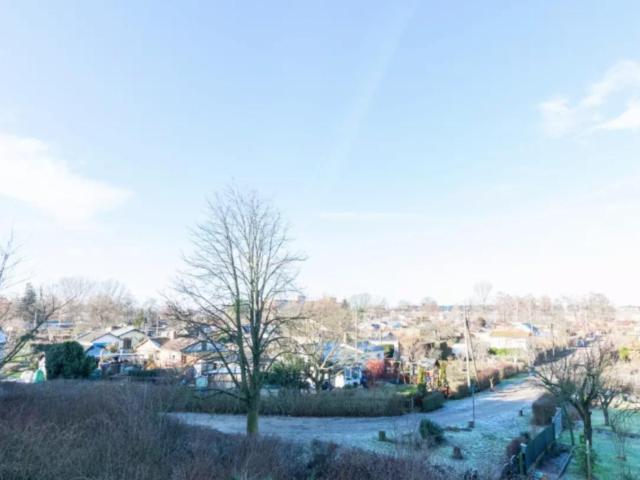 Wonderful double bedroom in a 4 bedroom apartment in Aldershof