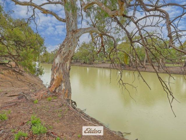 Outstanding Darling River Front Property
