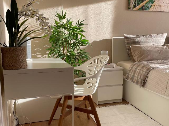 Wonderful home in Adlershof, Berlin Amsterdam Apartments for Rent