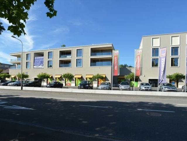Wonderful maisonette apartment with a dream view of Lake Zurich