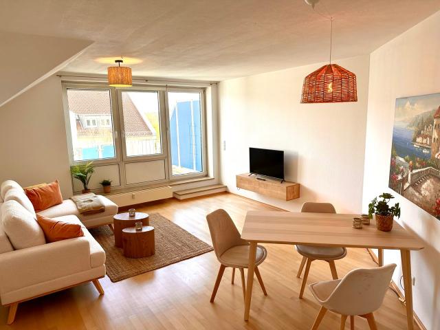 Wonderful suite in Mainz, Mainz Amsterdam Apartments for Rent