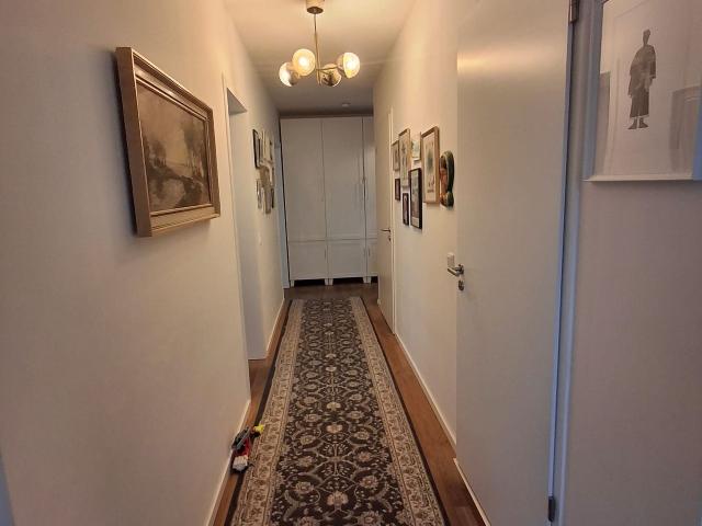 Wonderful sunny new flat by the river and forest, Berlin Amsterdam Apartments for Rent