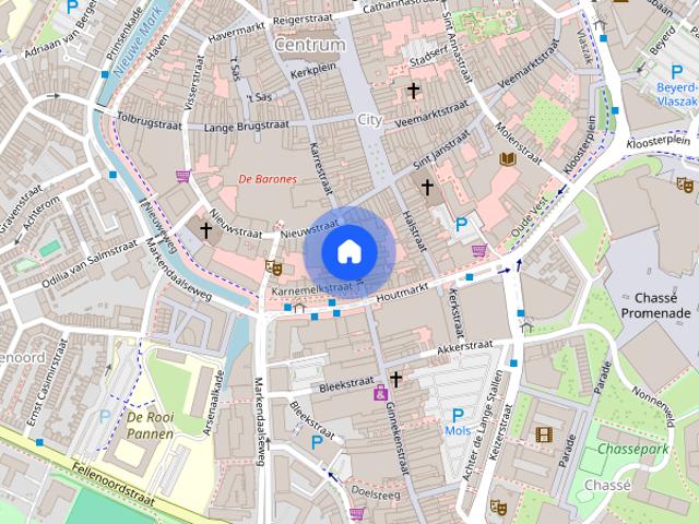 Woning aan de Willemstraat te Breda