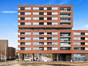 Rubroek, Gemeente Rotterdam, Zuid-Holland