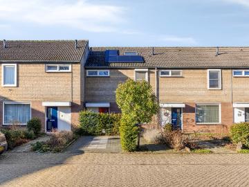Olland, Meierijstad, Noord-Brabant - Tuin