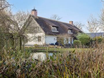 Olland, Meierijstad, Noord-Brabant - Tuin