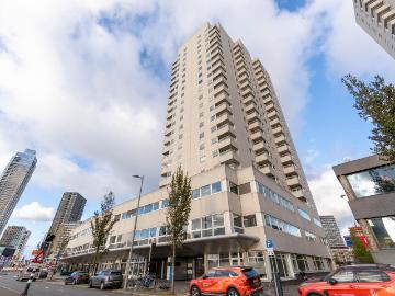 Stadsdriehoek, Gemeente Rotterdam, Zuid-Holland