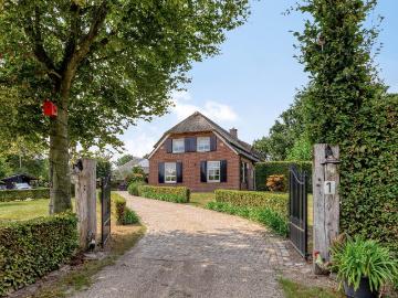 Olland, Meierijstad, Noord-Brabant - Tuin