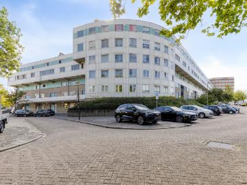 Olland, Meierijstad, Noord-Brabant