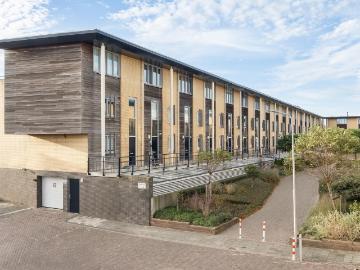 Olland, Meierijstad, Noord-Brabant - Tuin