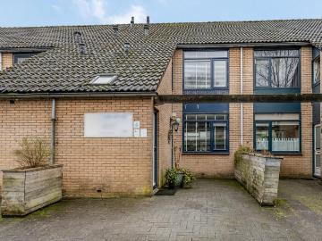 Olland, Meierijstad, Noord-Brabant - Tuin