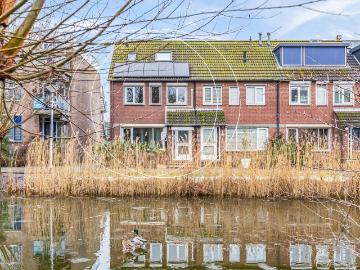 Olland, Meierijstad, Noord-Brabant - Tuin