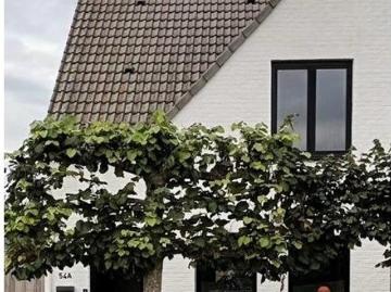 Retranchement, Gemeente Sluis, Provincie Zeeland