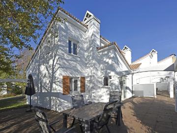 Olland, Meierijstad, Noord-Brabant - Terras