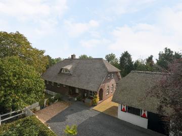 Olland, Meierijstad, Noord-Brabant - Kelder