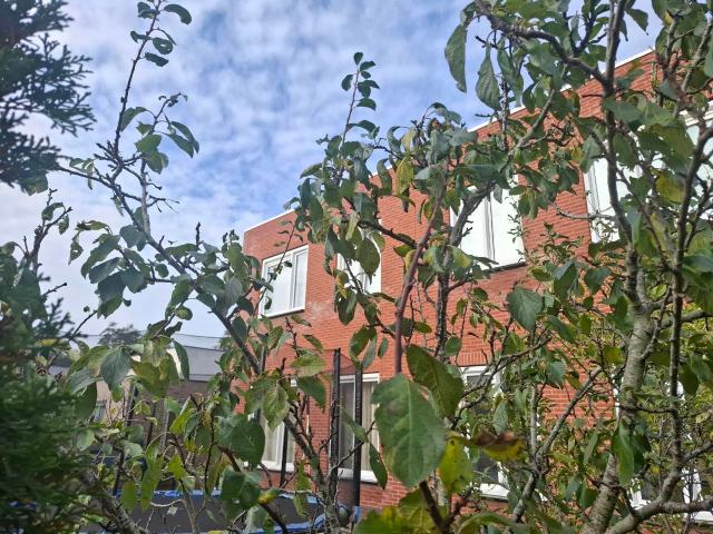 Woning te huur