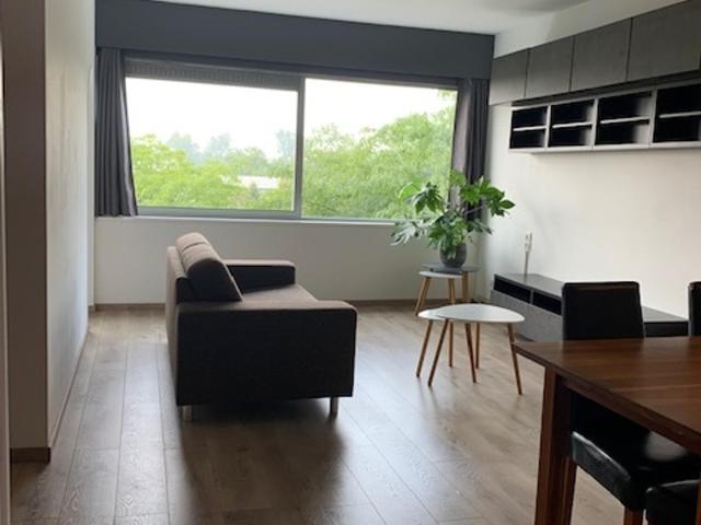 Woning te huur: Boeierstraat 151 1443EH Purmerend