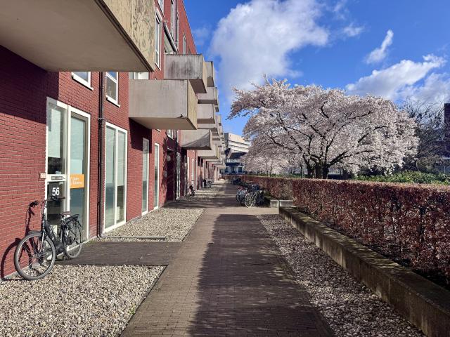 Woning te huur: Groenmarktstraat 6 3521AV Utrecht