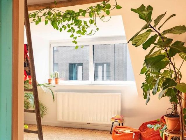 Woning te huur in Berchem voor € 1.400 met 2 slaapkamers
