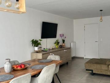 8770, Roeselare, Roulers, Flandre-Occidentale, Flandre