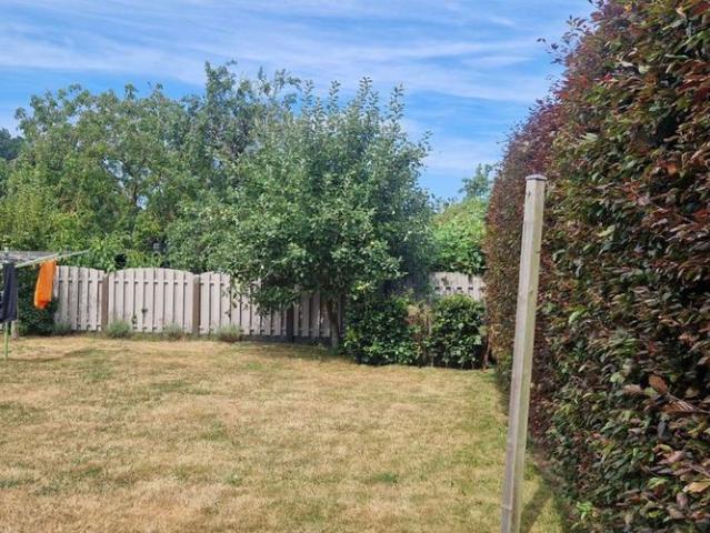 Woning te huur in Lommel voor € 1.250 met 5 slaapkamers