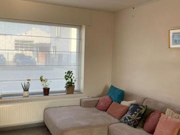 8800, Roeselare, Roulers, Flandre-Occidentale, Flandre