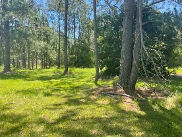 WOODFORD CENTRAL ALMOST 3/4 ACRE