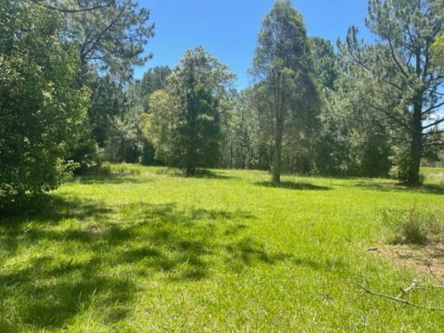 WOODFORD CENTRAL ALMOST ¾ ACRE
