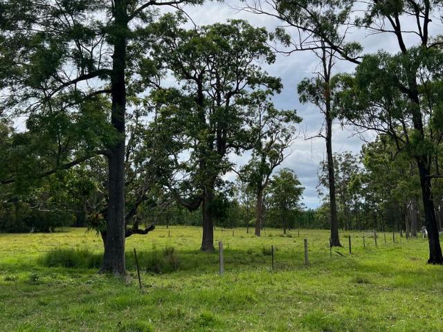 Woodford: southeast queensland hinterland