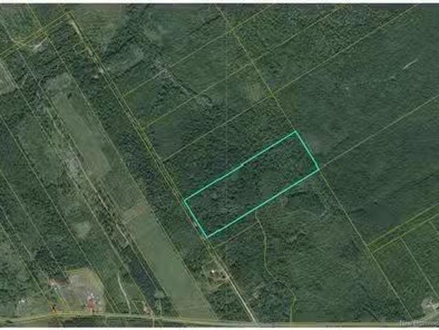 Woodlot Goguen Rd, Sweeneyville, NB, E4T 3N4 vacant land for.
