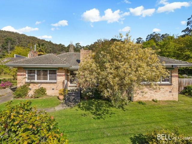 Woongarra A Beautiful Warburton Property