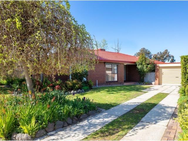 WODONGA | Quality, Comfort & Workshop/shed to Impress