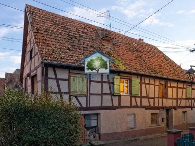 WOERTH 67 MAISON 6 PIECES 150 M²