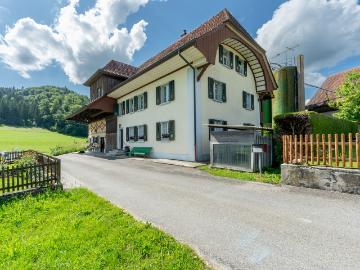 «WOHLFÜHLOASE FÜR MENSCHEN UND ZWEI PFERDE»