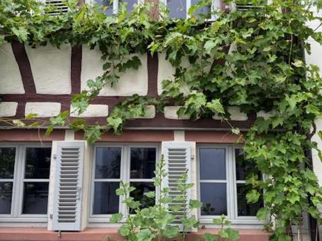 * * Wohlfühlhaus * * zwei in eins * * mit verwunschenem Hof /Terrasse* *